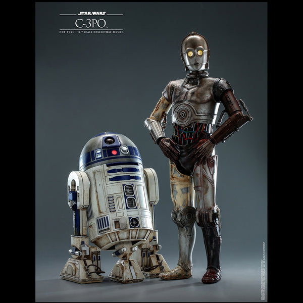 C3PO - MMS650D46 ( OPEN ITEM )