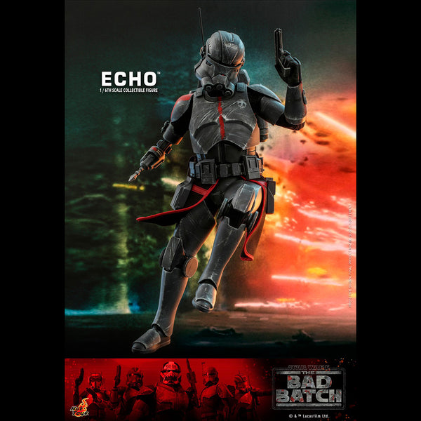 ECHO - TMS042 ( OPEN ITEM )