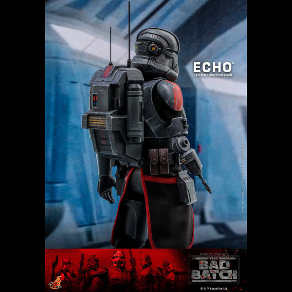ECHO - TMS042 ( OPEN ITEM )