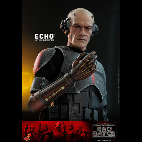 ECHO - TMS042 ( OPEN ITEM )