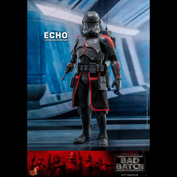ECHO - TMS042 ( OPEN ITEM )
