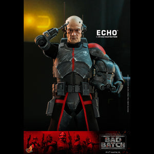 ECHO - TMS042 ( OPEN ITEM )