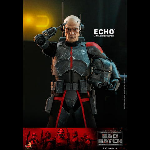 ECHO - TMS042 ( OPEN ITEM )