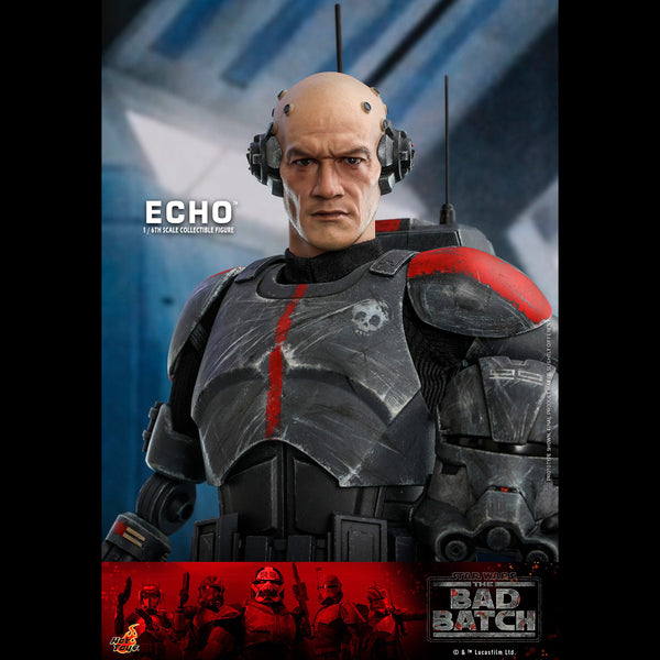 ECHO - TMS042 ( OPEN ITEM )