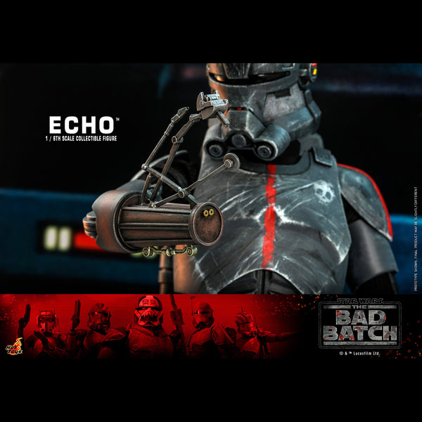 ECHO - TMS042 ( OPEN ITEM )