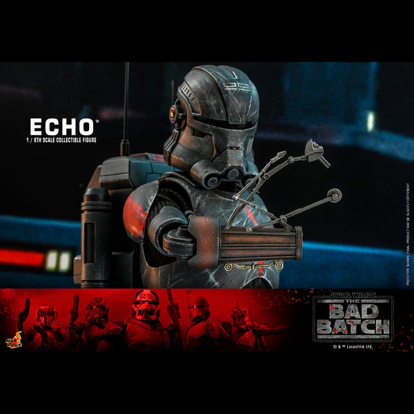 ECHO - TMS042 ( OPEN ITEM )