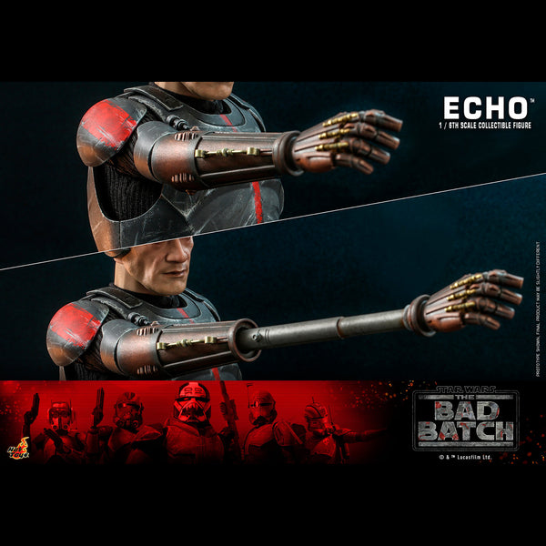 ECHO - TMS042 ( OPEN ITEM )