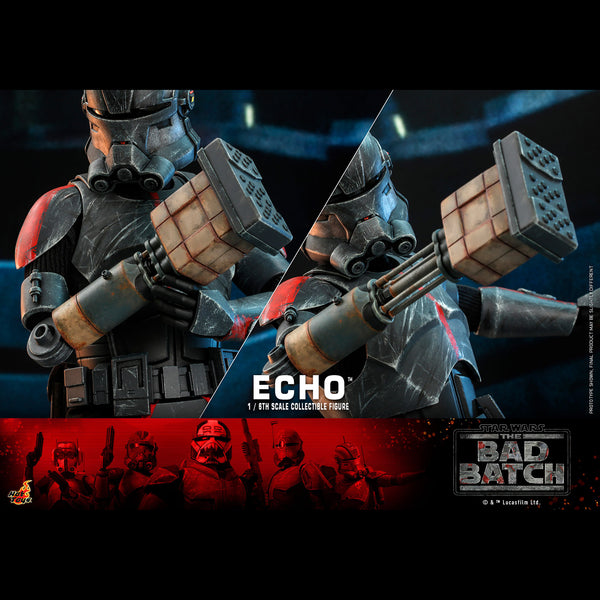 ECHO - TMS042 ( OPEN ITEM )