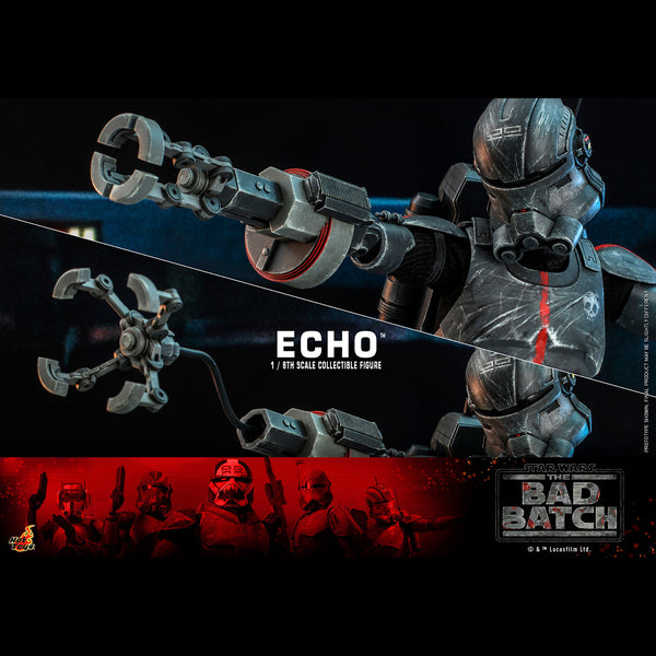ECHO - TMS042 ( OPEN ITEM )