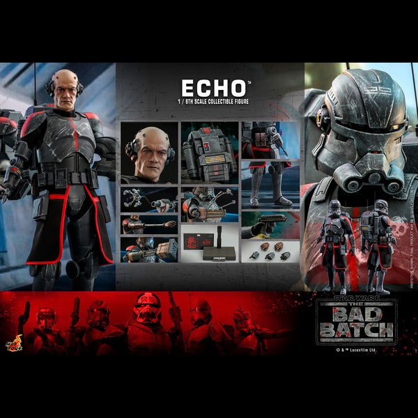 ECHO - TMS042 ( OPEN ITEM )
