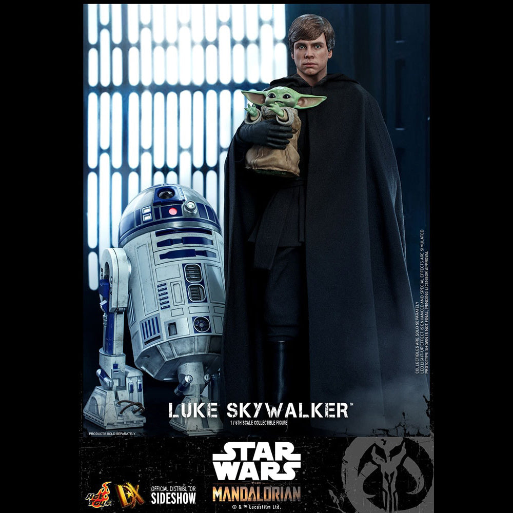 LUKE SKYWALKER (SPECIAL EDITION) - DX22 ( OPEN ITEM )
