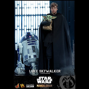 LUKE SKYWALKER (SPECIAL EDITION) - DX22 ( OPEN ITEM )