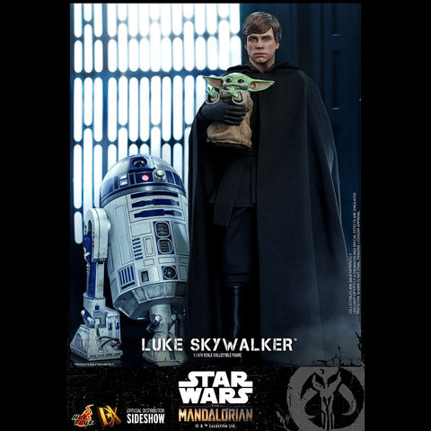 LUKE SKYWALKER (SPECIAL EDITION) - DX22 ( OPEN ITEM )