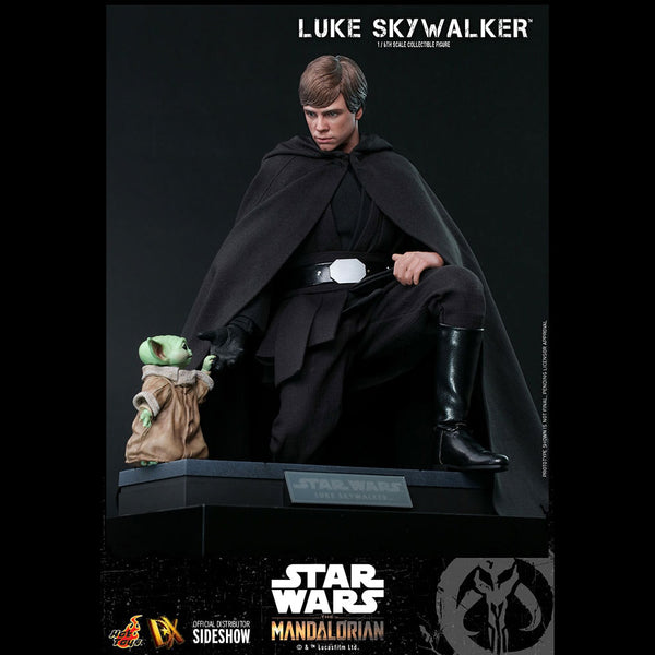 LUKE SKYWALKER (SPECIAL EDITION) - DX22 ( OPEN ITEM )