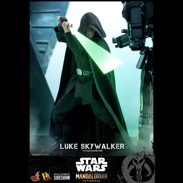 LUKE SKYWALKER (SPECIAL EDITION) - DX22 ( OPEN ITEM )