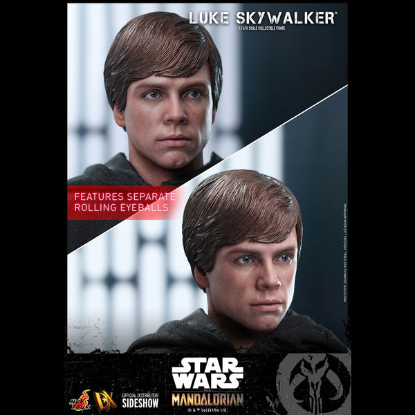 LUKE SKYWALKER (SPECIAL EDITION) - DX22 ( OPEN ITEM )