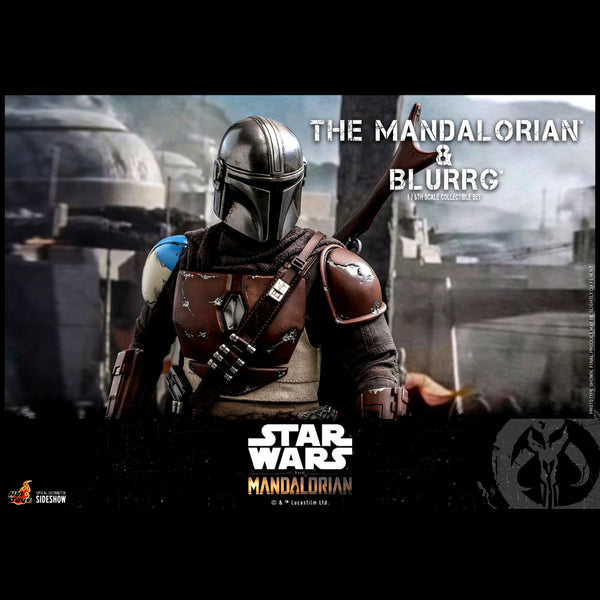 The Mandalorian TMS046 - The Mandalorian and Blurrg 1/6th Scale Collectible Figure Set