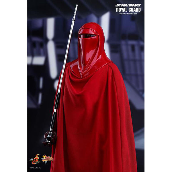 Royal Guard - Hot Toys Movie Masterpieces Series 1/6 Scale Figure (Sealed )