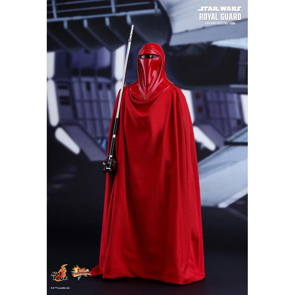 Royal Guard - Hot Toys Movie Masterpieces Series 1/6 Scale Figure (Sealed )