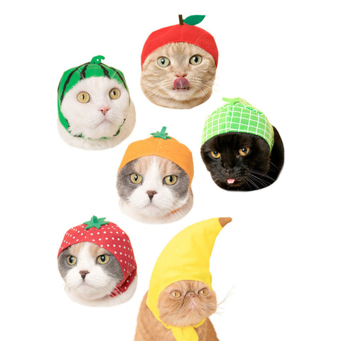 Cat Cap Fruit : Blind Box